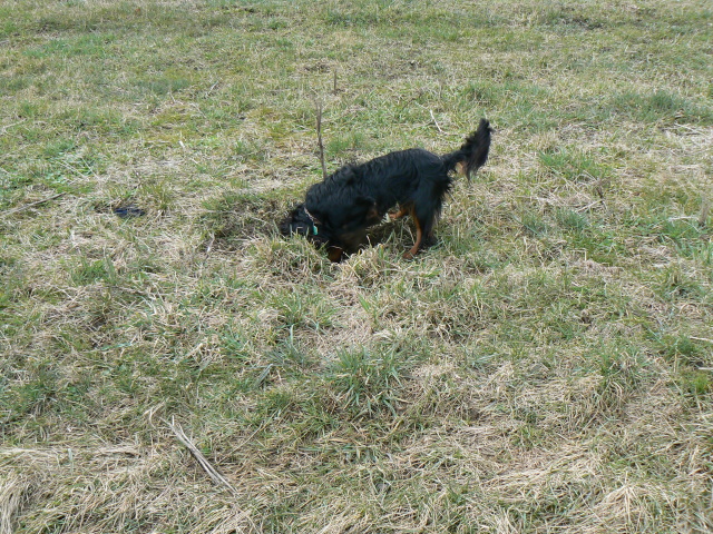P1150341.jpg