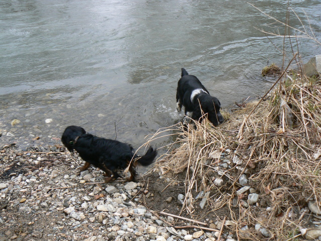 P1150445.jpg