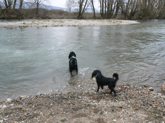 P1150465.jpg