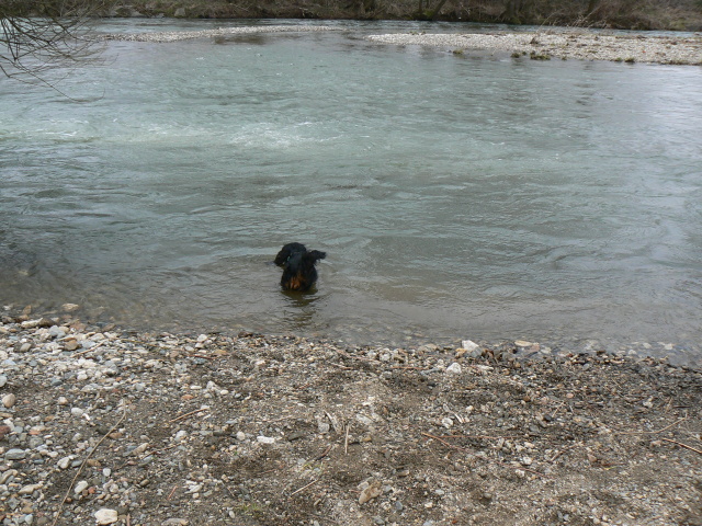 P1150469.jpg