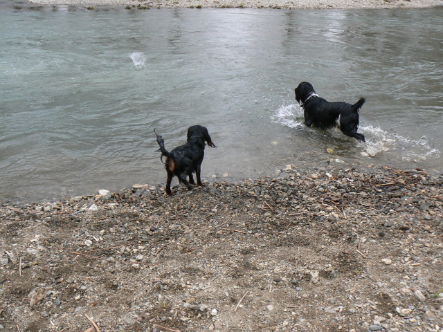 P1150470.jpg