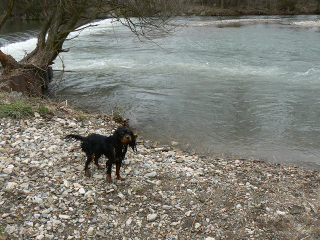 P1150480.jpg