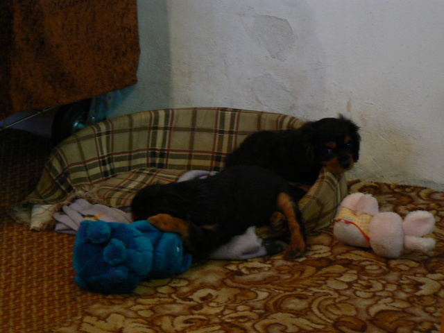 P1050204.jpg