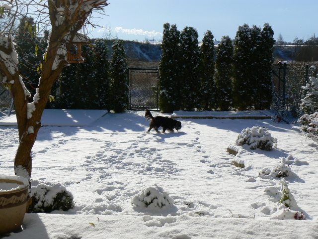 P1180054.jpg