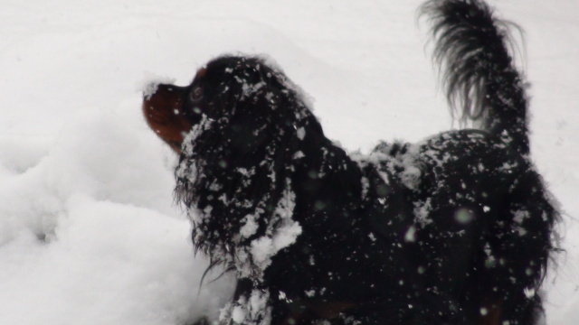 DSC00020.jpg