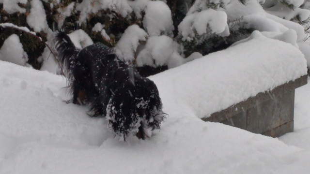 DSC00024.jpg