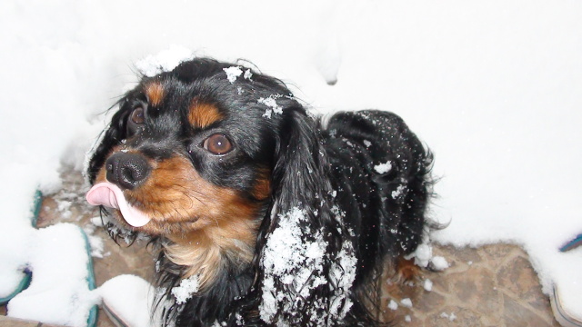 DSC00025.jpg