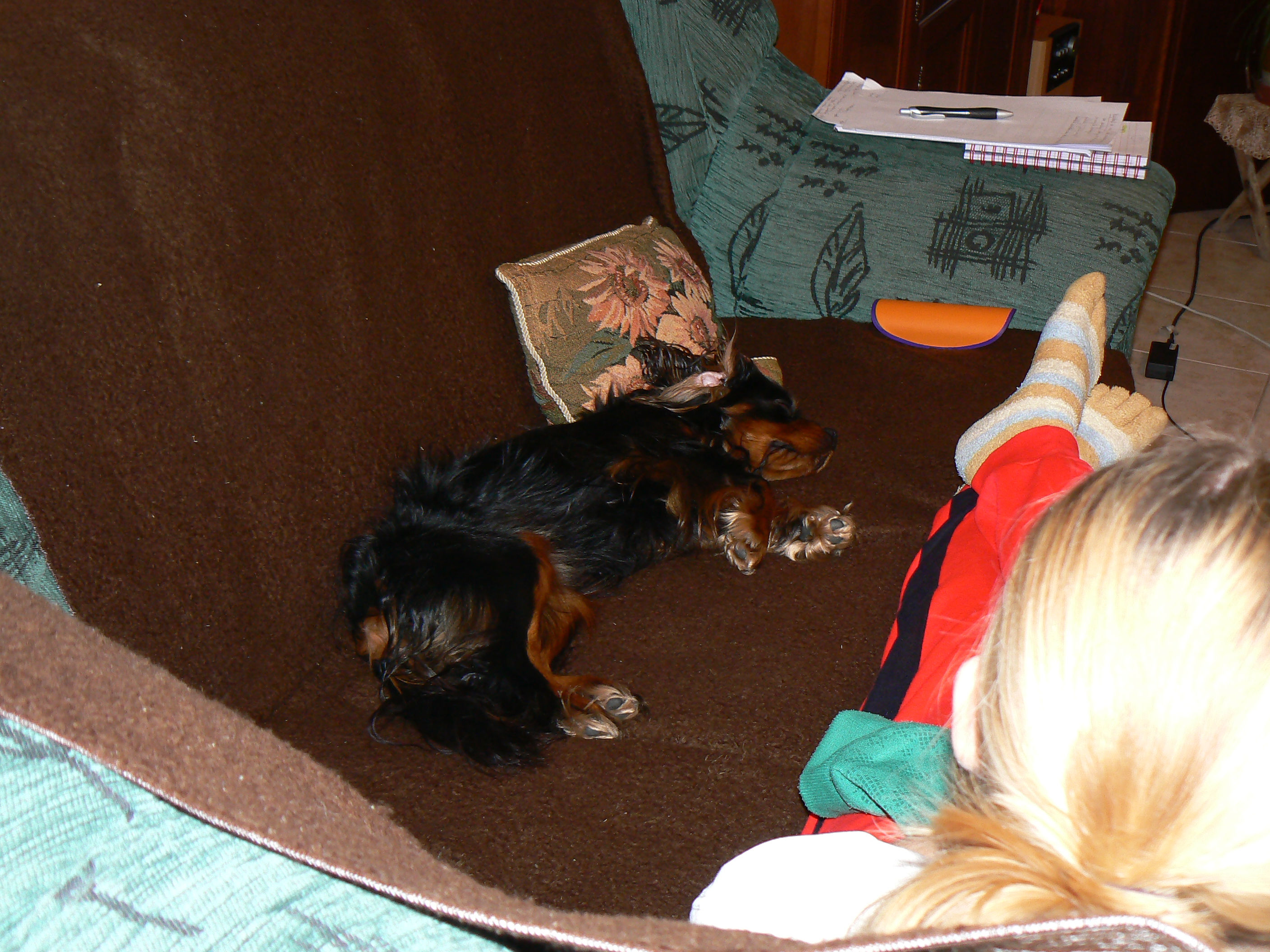 P1180056.JPG