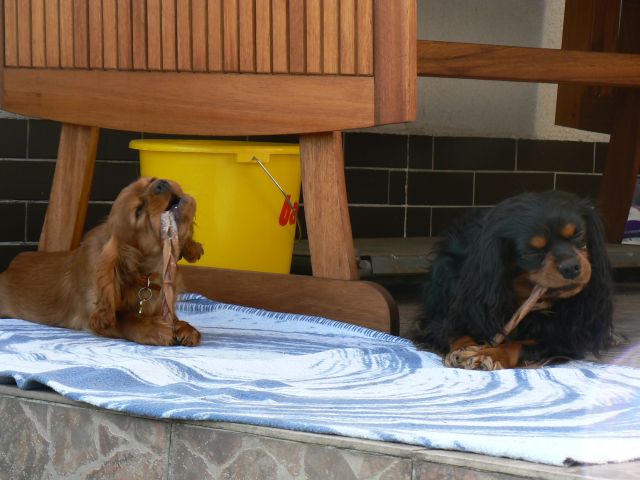 P1190789a.jpg