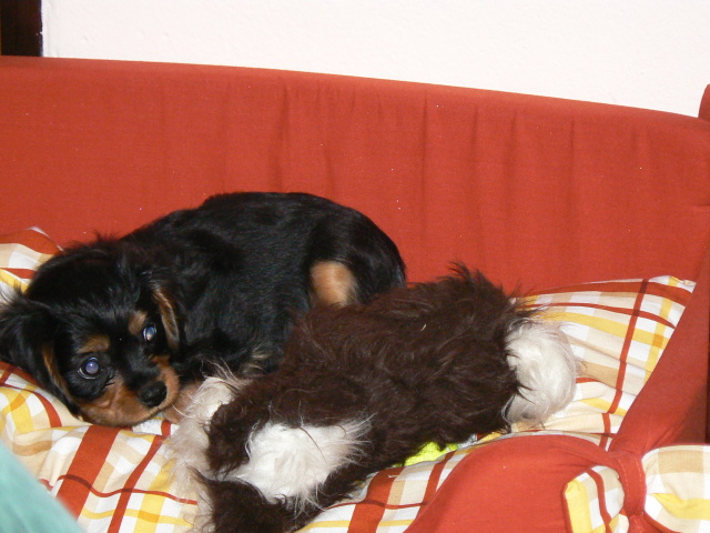 P1050335.jpg