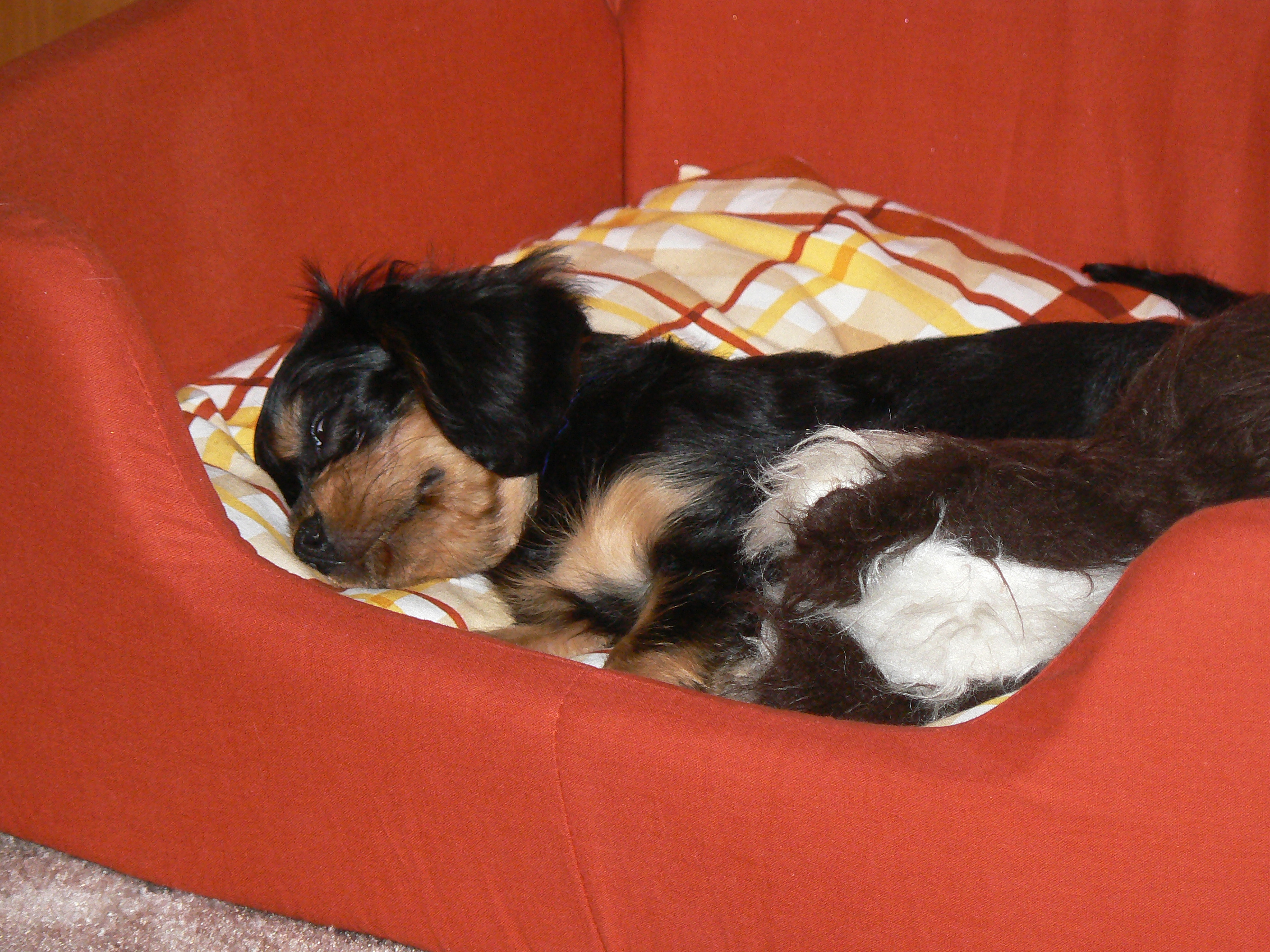 P1050342.JPG